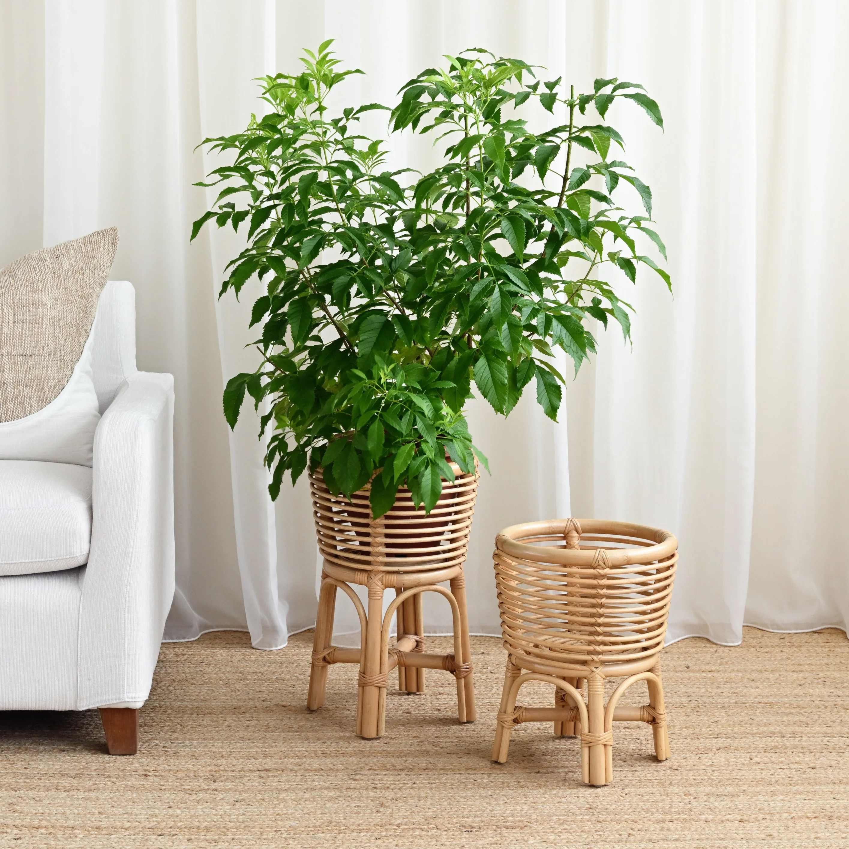 Dong Rattan Planter - Natural