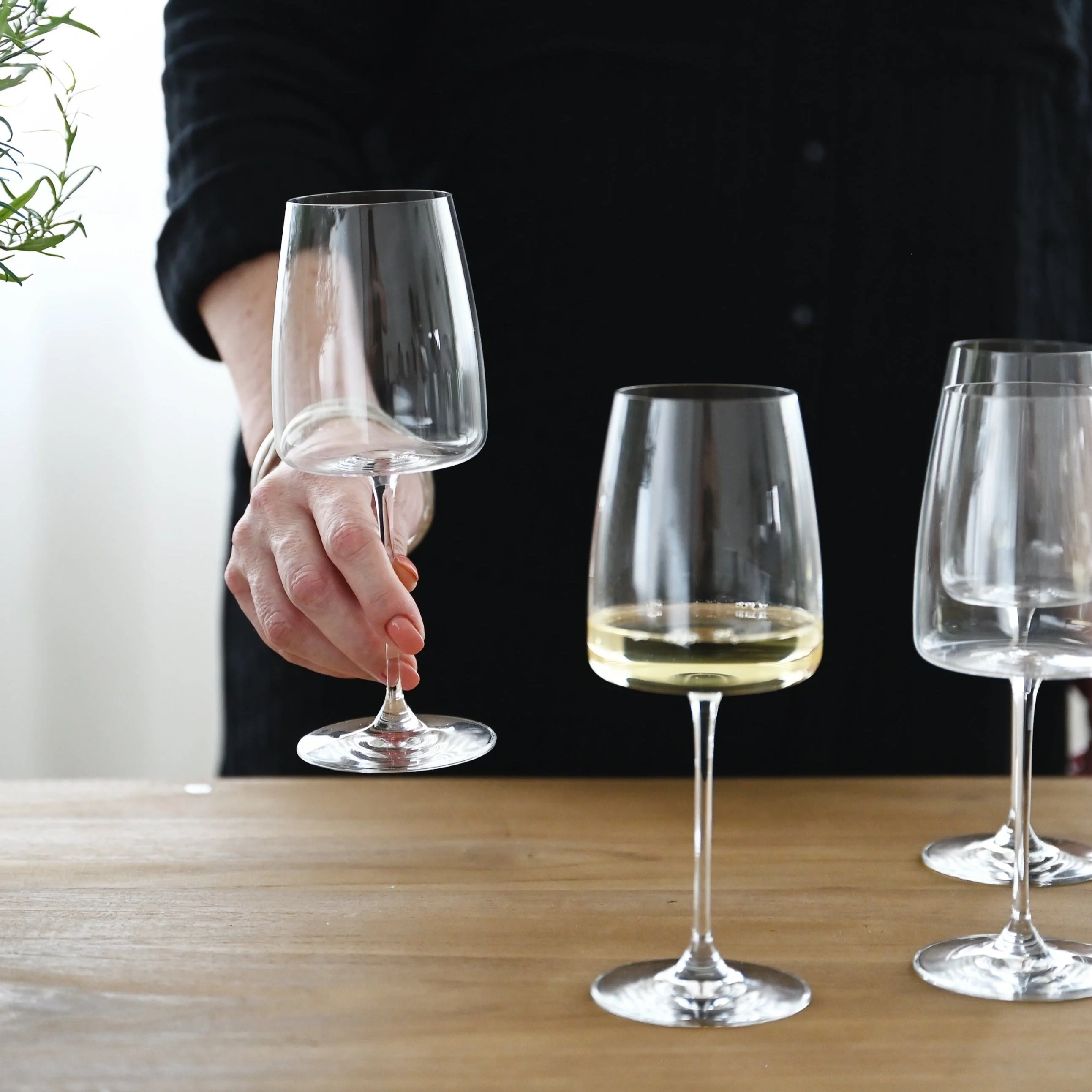 Epicure White Wine - Set of 6