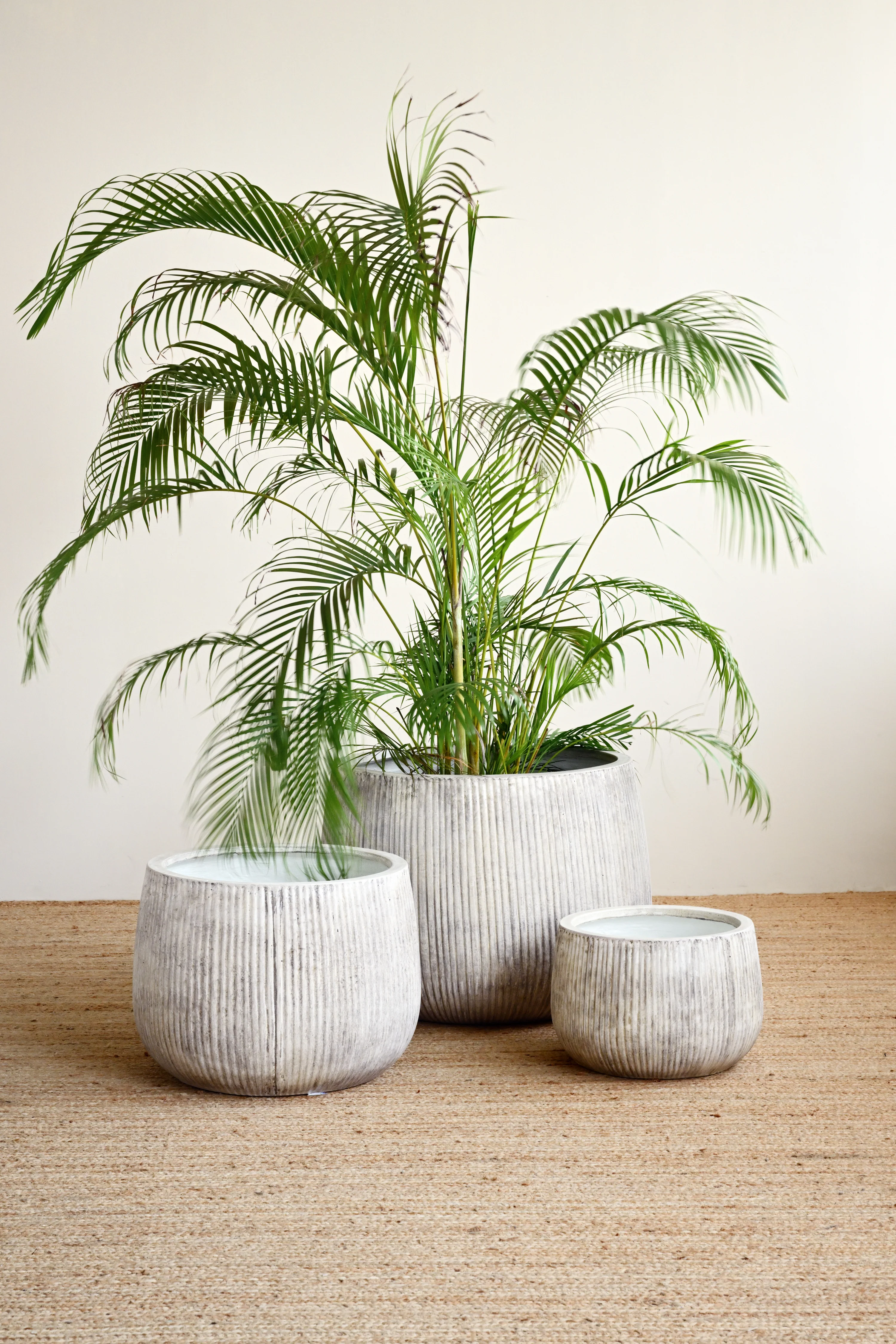Nerja Concrete Pot - Oyster
