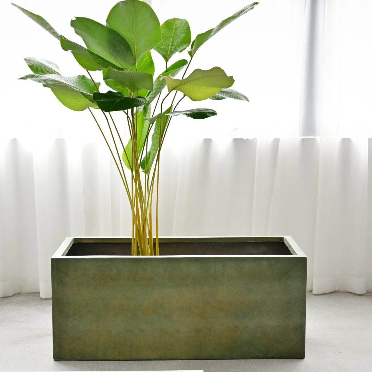 Rectangle Planter Box - Copper Green - Image 7