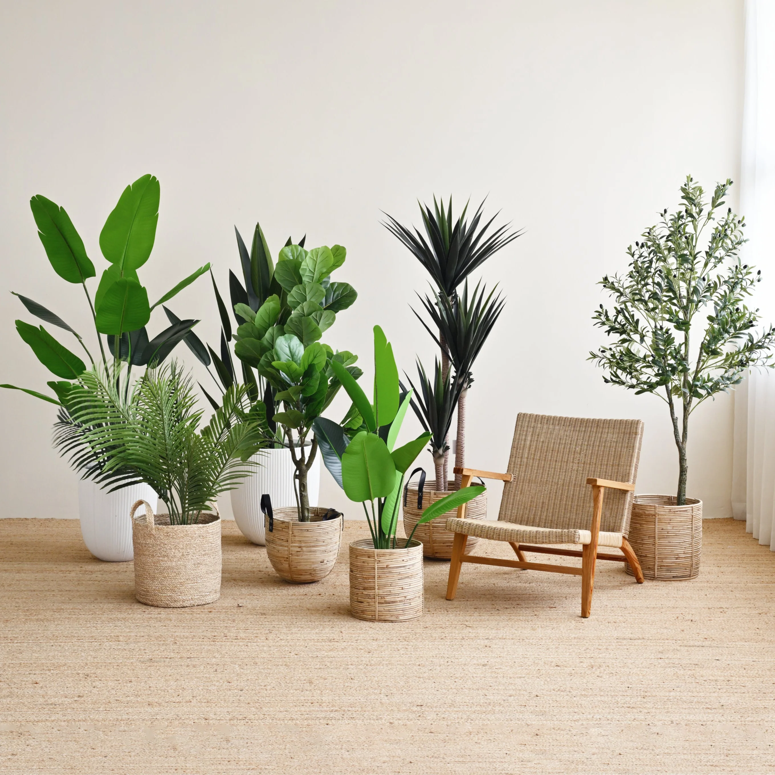 Sky Bird Plant - Faux - Image 6