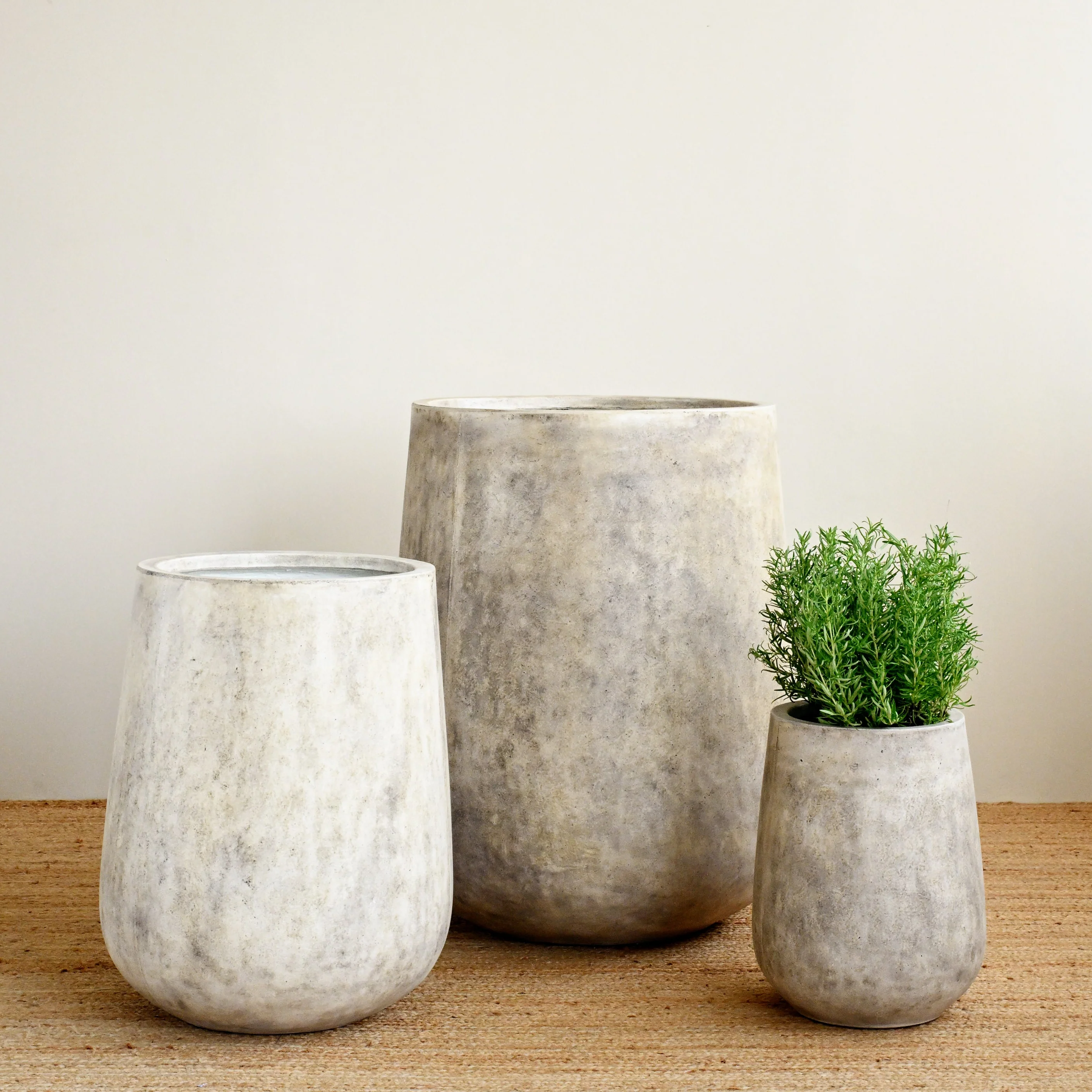 Tulip Oyster Pot - Image 6