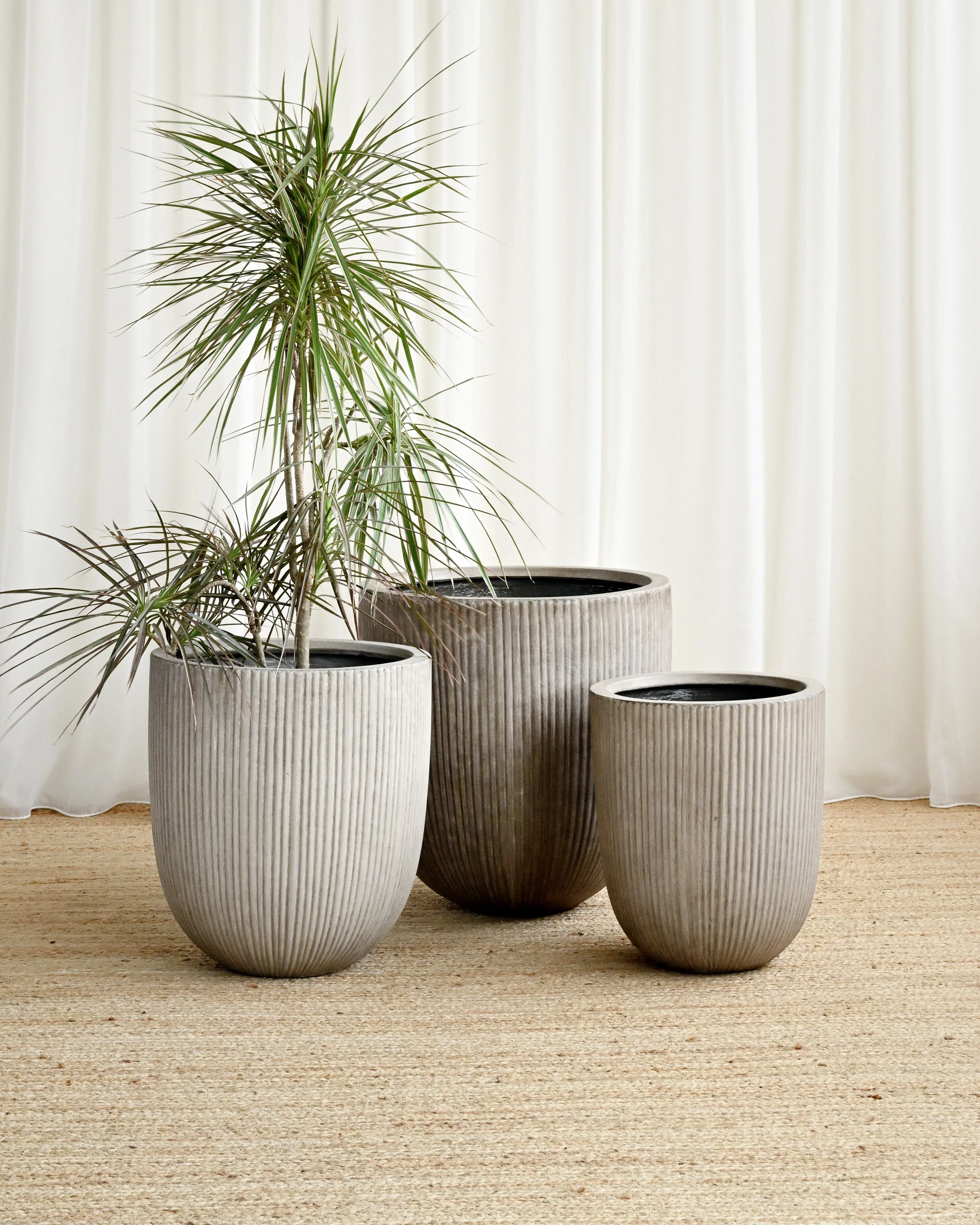 Vinh Concrete Pot - Maya